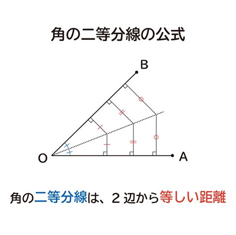 二等分